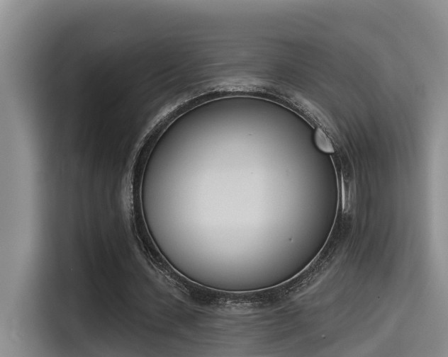 X0000115250531200911061220