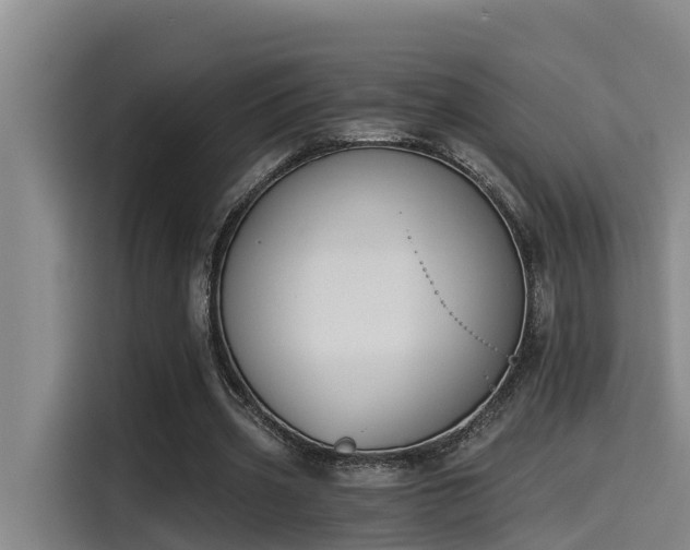 X0000115250533200911061220