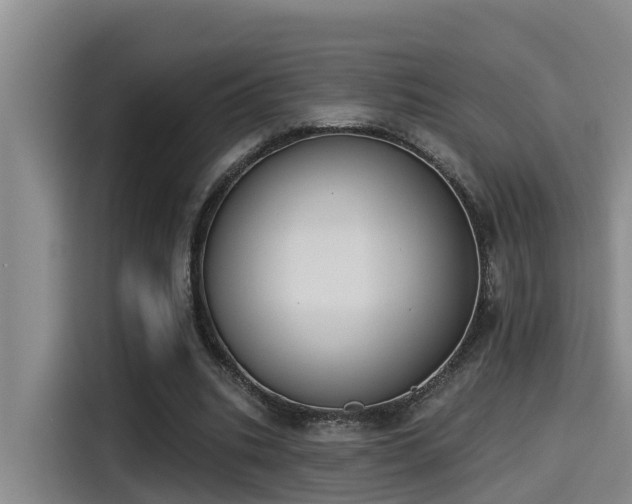 X0000115250535200911061220