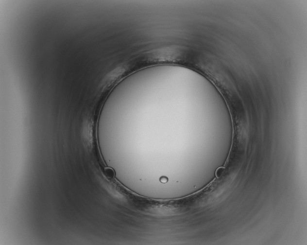 X0000115250537200911061220