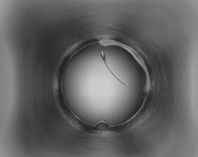 X0000115250539200911061220