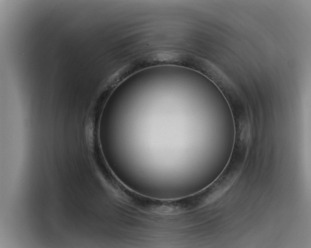 X0000115250542200911061220
