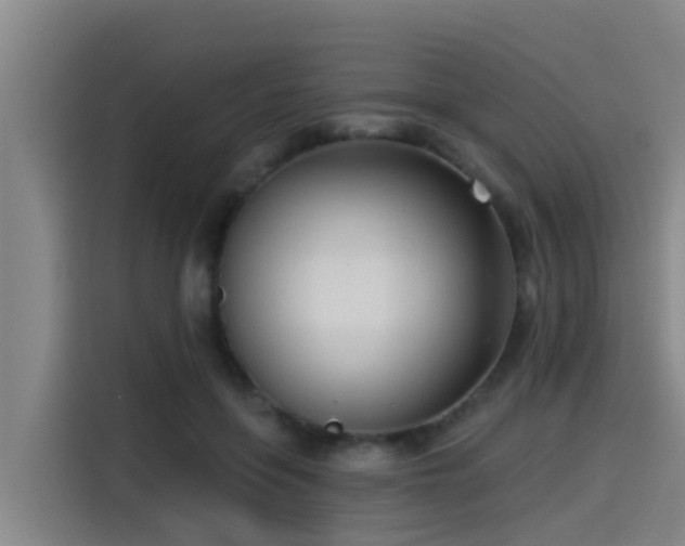 X0000115250551200911061220