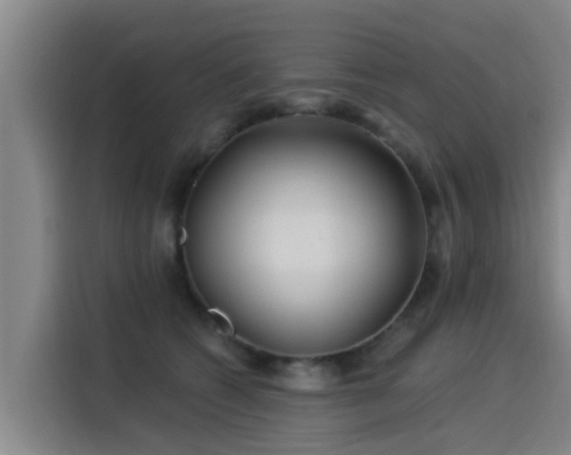 X0000115250562200911061221