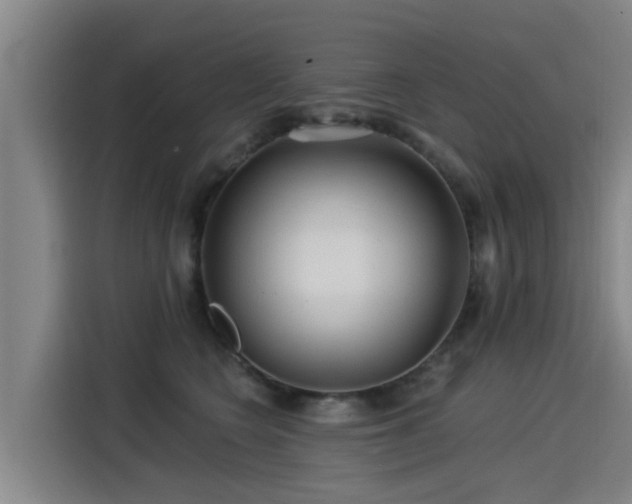 X0000115250566200911061221