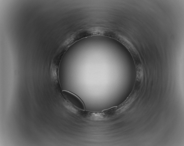 X0000115250573200911061221