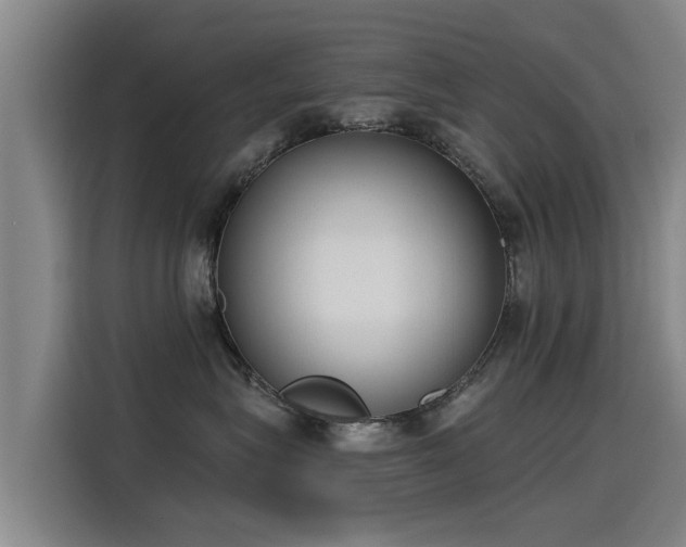 X0000115250575200911061221