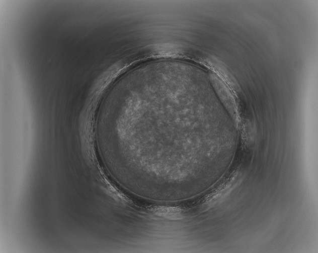 X0000115250577200911061220