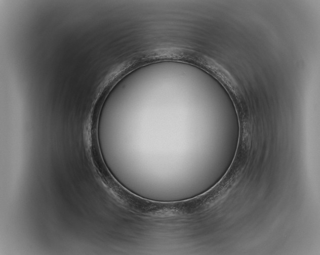 X0000115250578200911061220