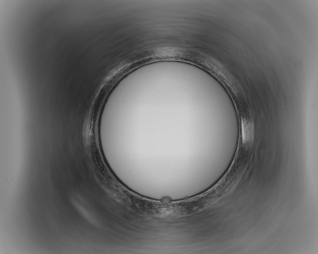 X0000115250579200911061220