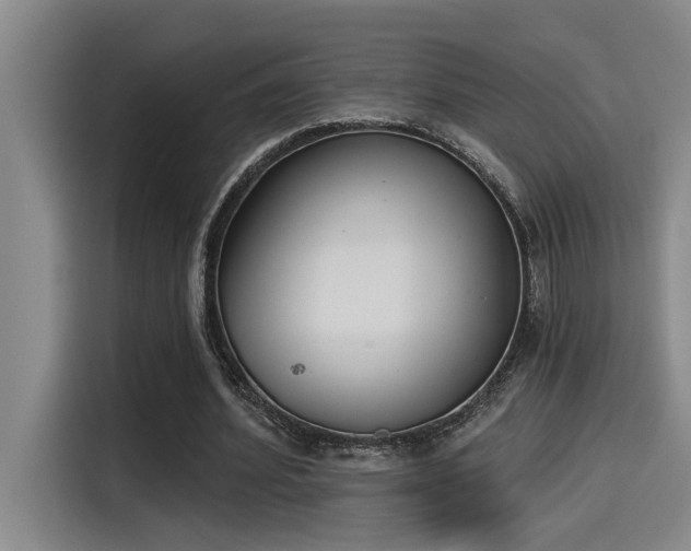 X0000115250580200911061220