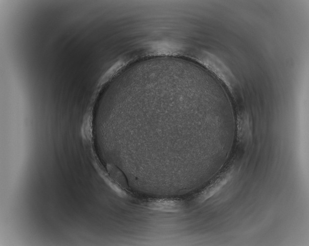 X0000115250581200911061220