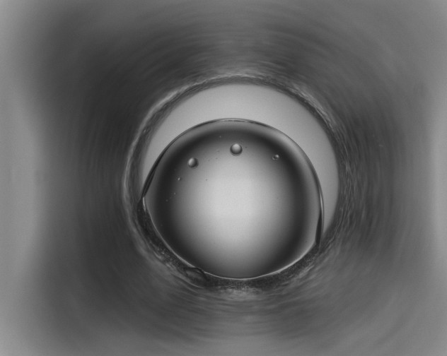 X0000115250583200911061220