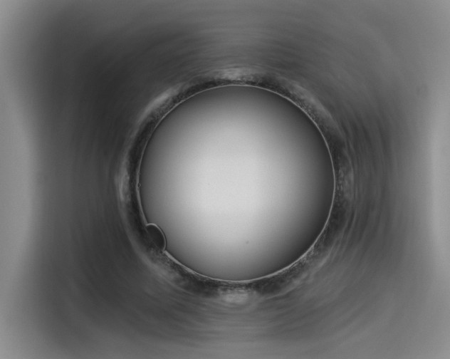 X0000115250587200911061220