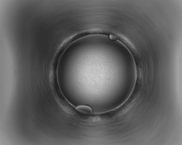 X0000115250588200911061220