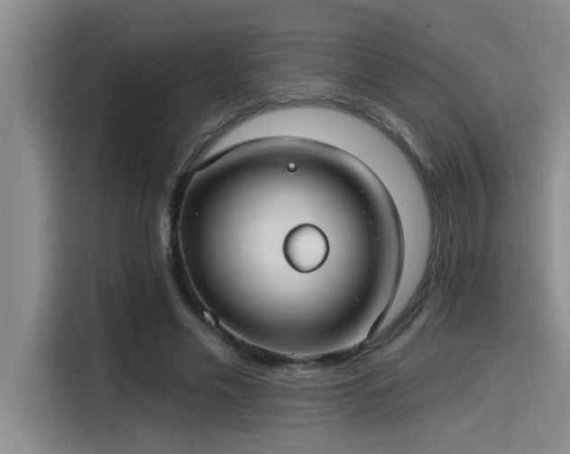 X0000115250589200911061220
