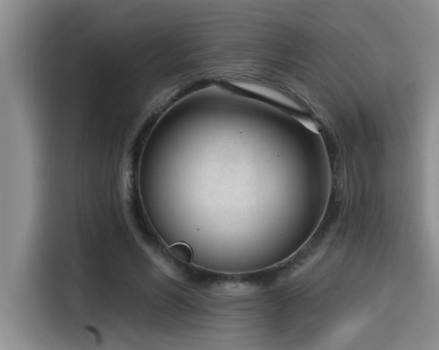 X0000115250590200911061220
