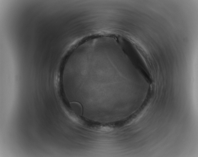 X0000115250592200911061220