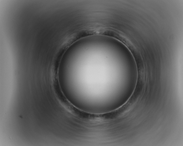 X0000115250594200911061220