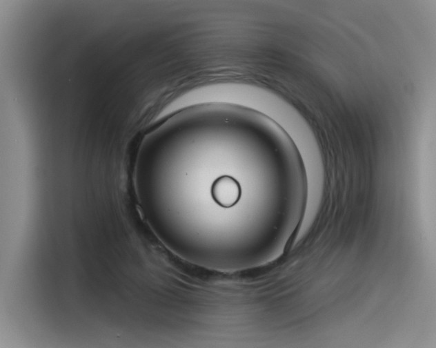 X0000115250595200911061220