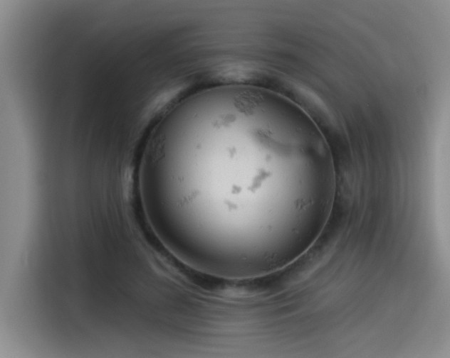 X0000115250596200911061220
