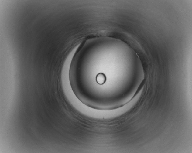 X0000115250599200911061220