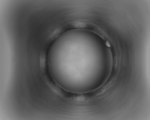 X0000115250600200911061220