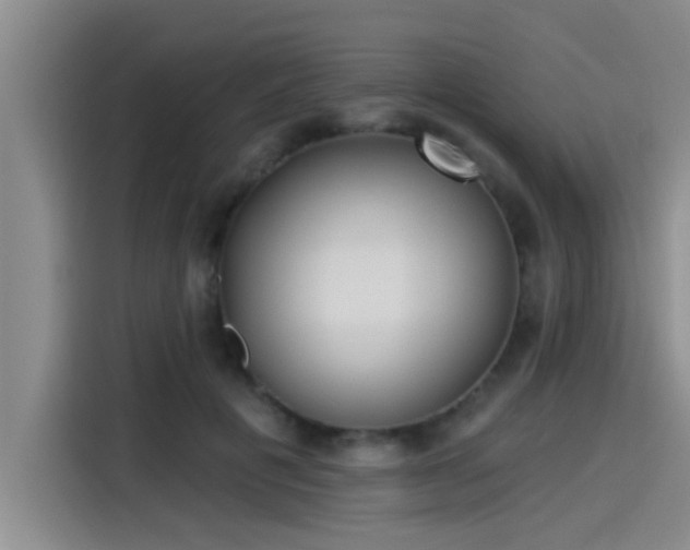 X0000115250601200911061220