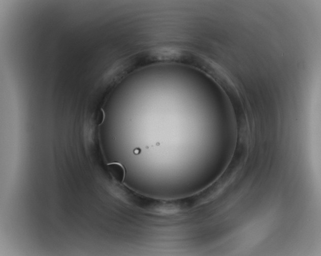 X0000115250604200911061220
