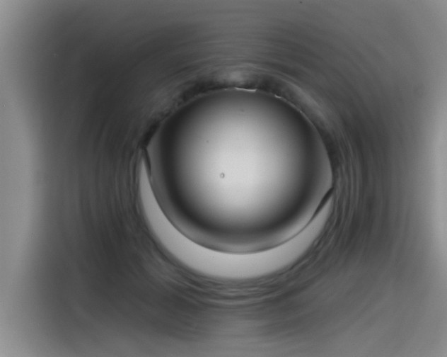 X0000115250605200911061220