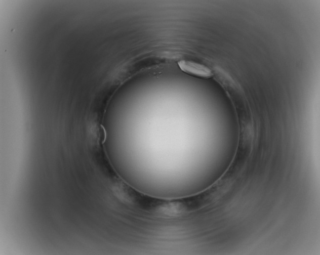 X0000115250609200911061220