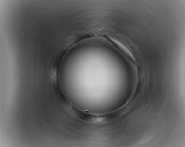 X0000115250610200911061220