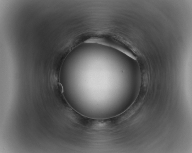 X0000115250613200911061220