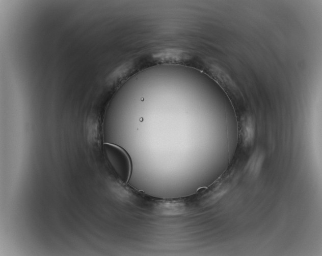 X0000115250619200911061220