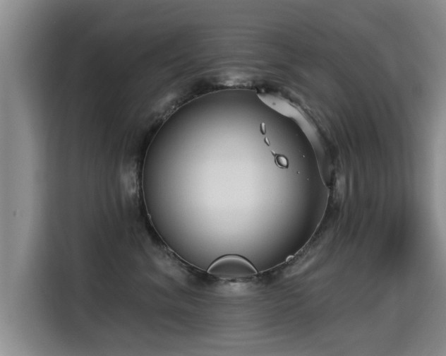 X0000115250620200911061220