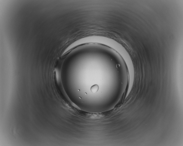 X0000115250621200911061220