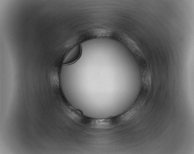 X0000115250622200911061220