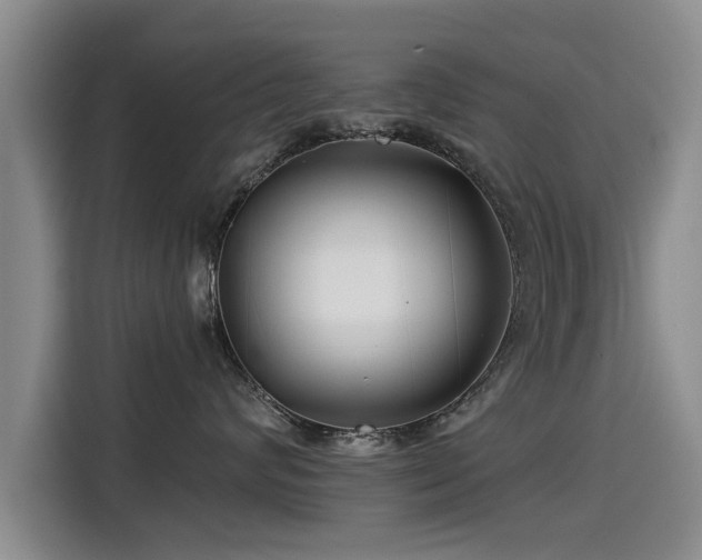 X0000115250624200911061220