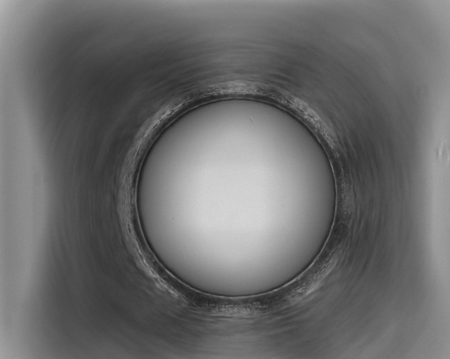 X0000115250625200911061219