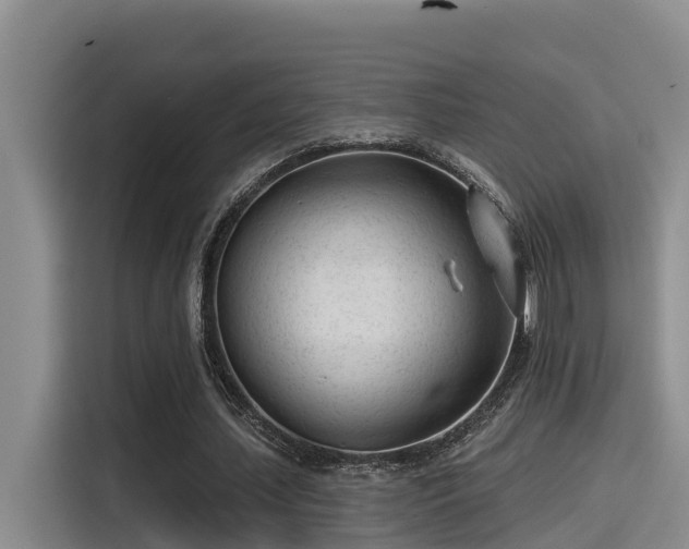 X0000115250627200911061219