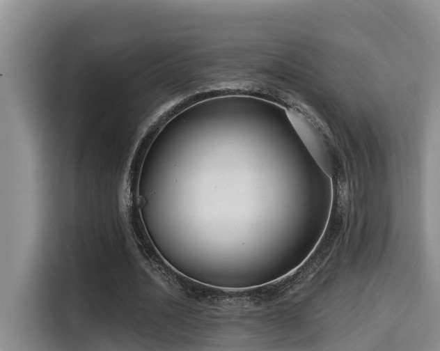 X0000115250628200911061219