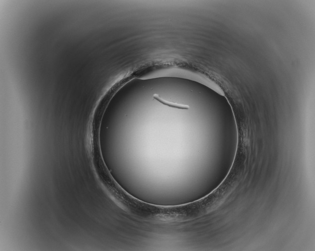 X0000115250630200911061219
