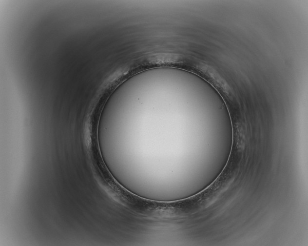 X0000115250631200911061219