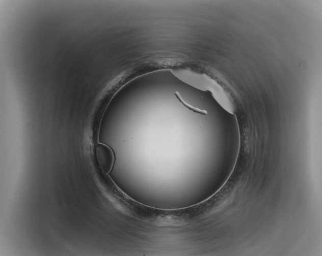 X0000115250634200911061219