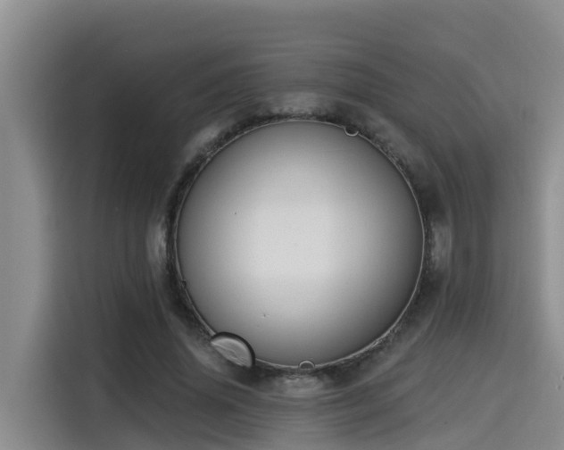 X0000115250636200911061219