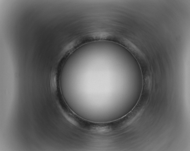 X0000115250638200911061219