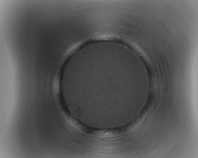 X0000115250640200911061219