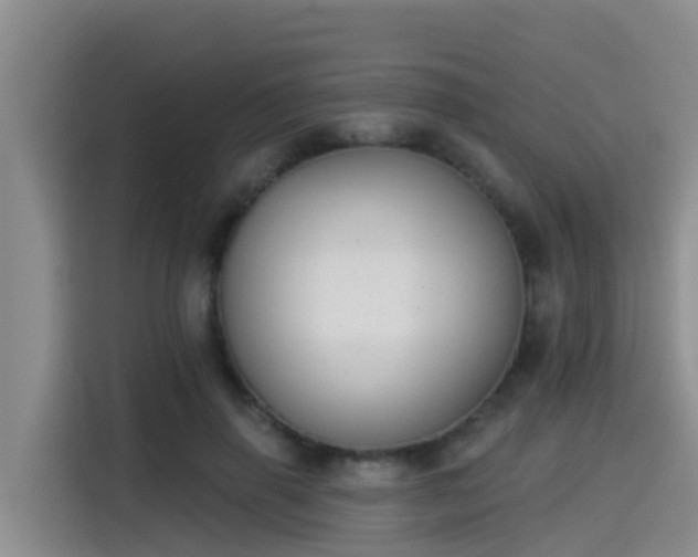 X0000115250645200911061219