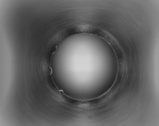 X0000115250653200911061219