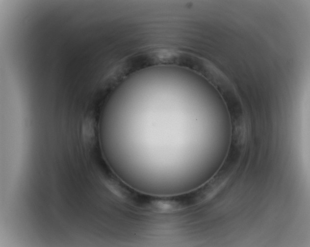 X0000115250654200911061219